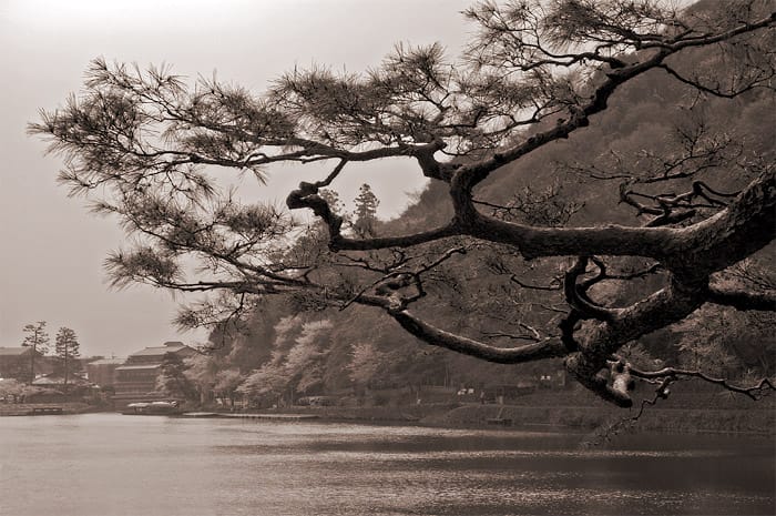 Arashiyama