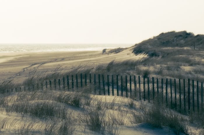 Long Island