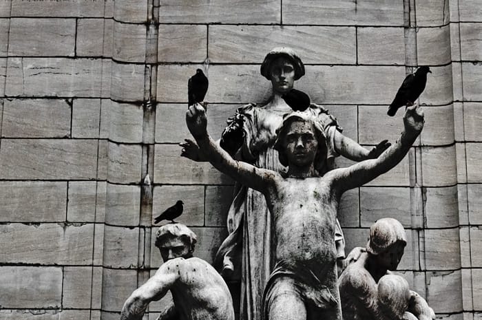 Pigeons love Art