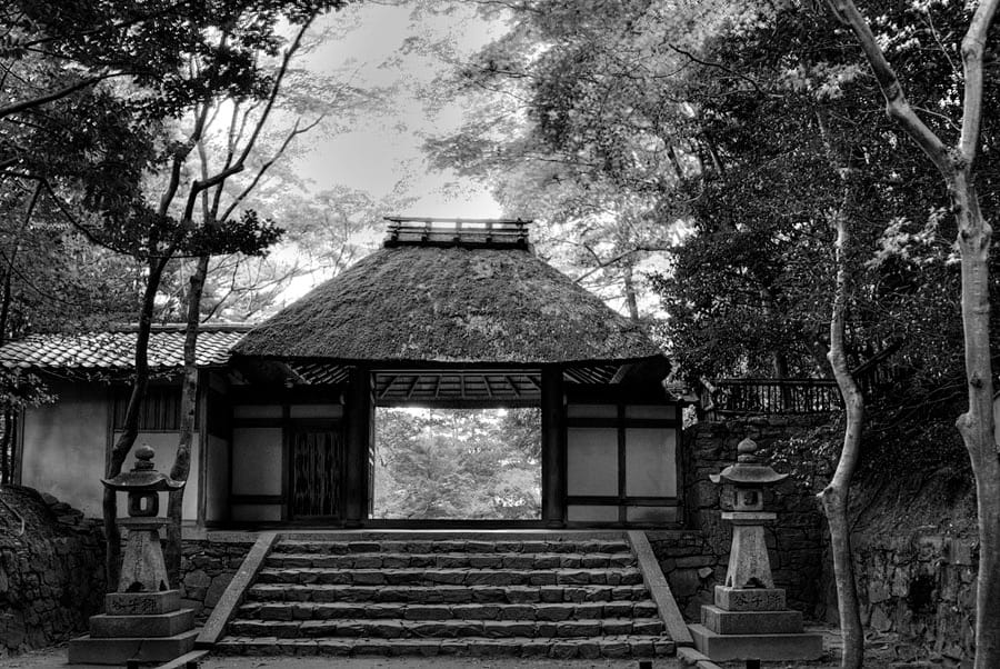 The Path