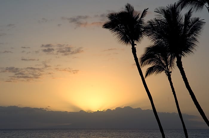 Maui