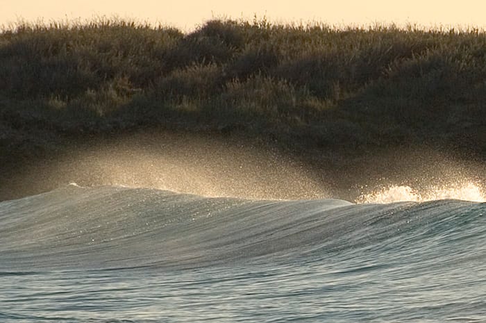 Wave
